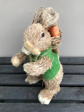 Bunny - Carrot in Backpack