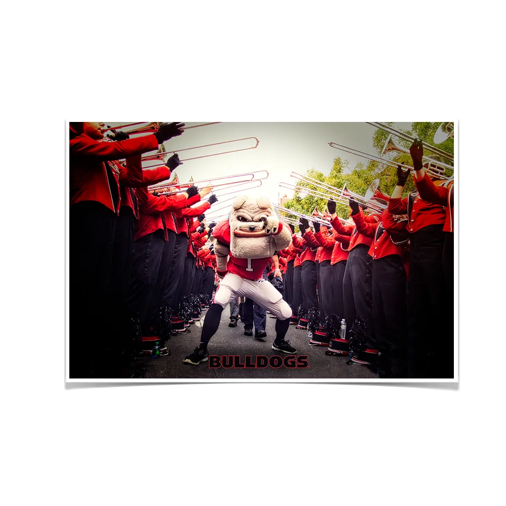 Georgia Bulldogs - Dawg Walk