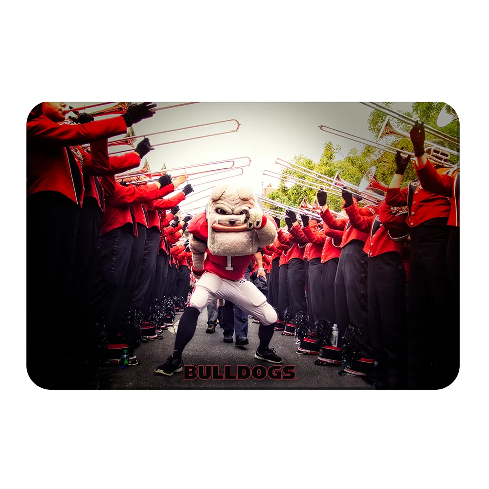 Georgia Bulldogs - Dawg Walk