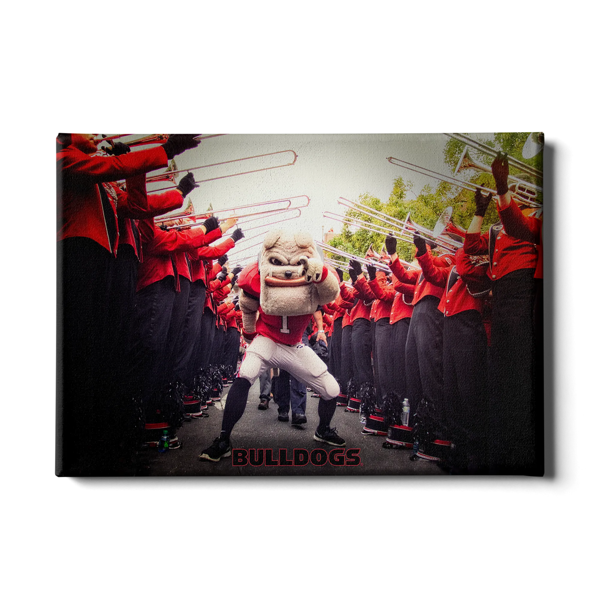 Georgia Bulldogs - Dawg Walk