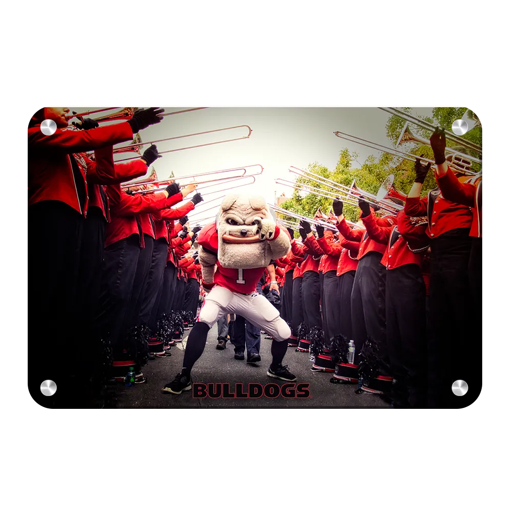 Georgia Bulldogs - Dawg Walk