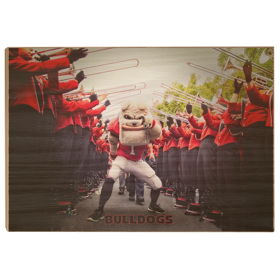 Georgia Bulldogs - Dawg Walk