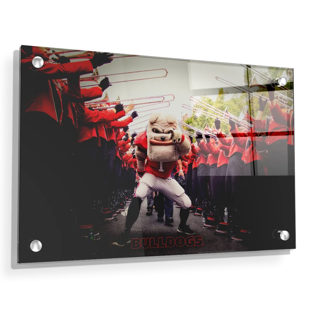 Georgia Bulldogs - Dawg Walk