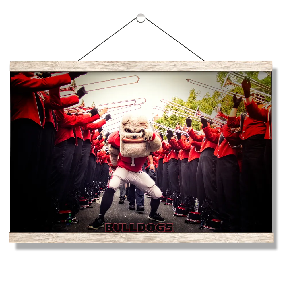 Georgia Bulldogs - Dawg Walk