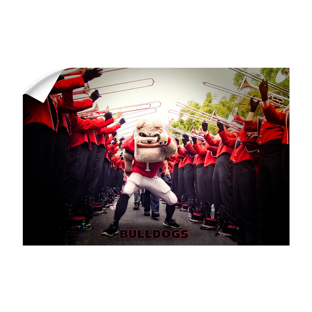 Georgia Bulldogs - Dawg Walk